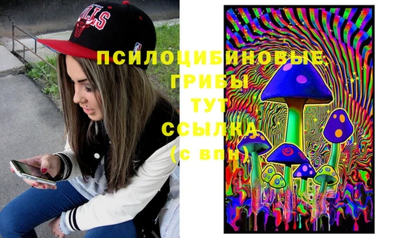 эйфоретик Кукмор