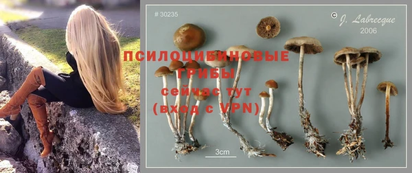 спайс Алзамай