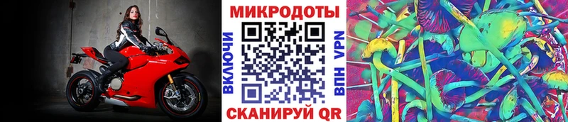Галлюциногенные грибы GOLDEN TEACHER  дарнет шоп  Махачкала 