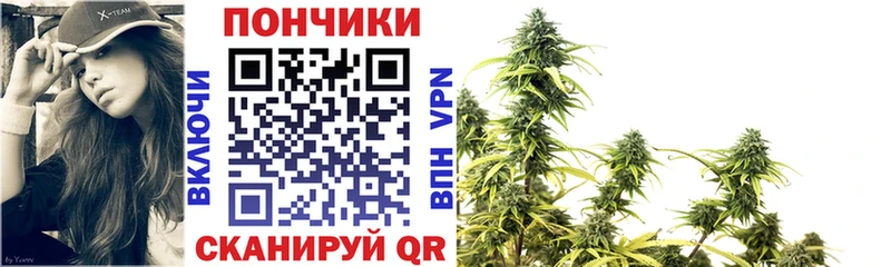 mega маркетплейс  Махачкала  МАРИХУАНА AK-47  как найти закладки 